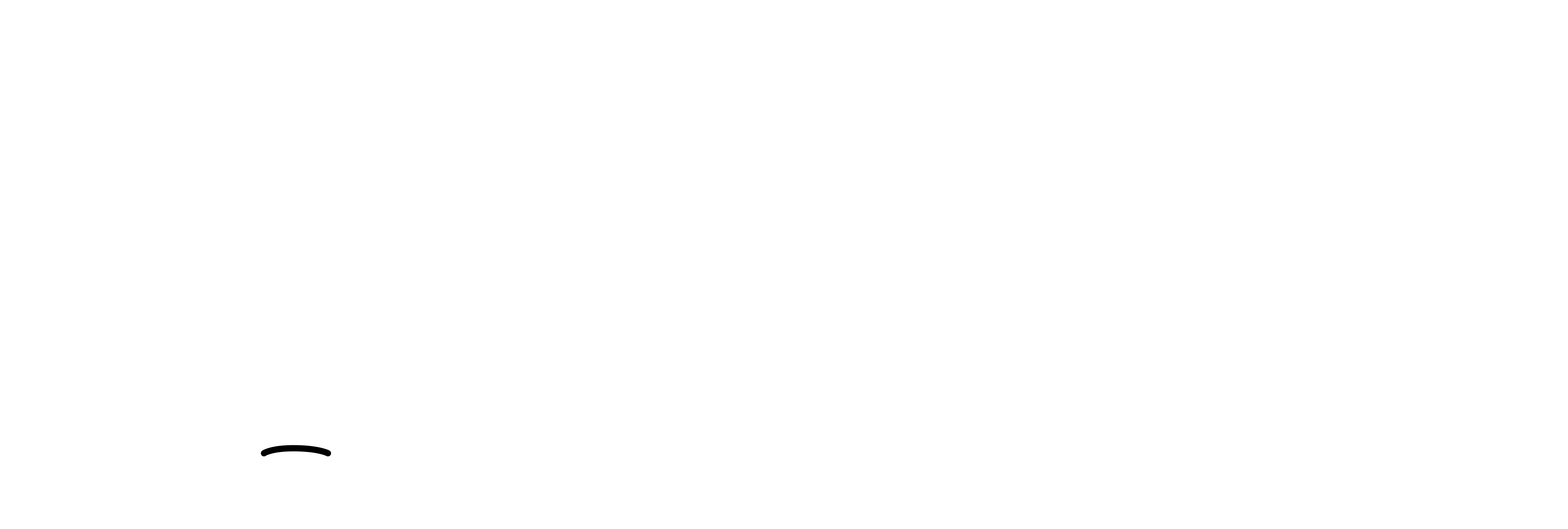 Raydev Crew